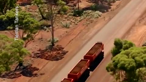 Road Trains: The Longest Trucks in the World