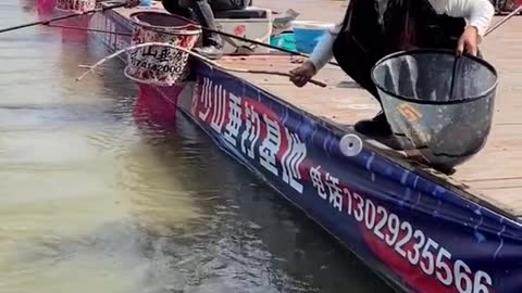 Best Asian Fishing Video 🐟 Weekend Fishing