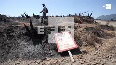Un nuevo incendio en Sierra Bermeja (España) obliga a desalojar más pueblos