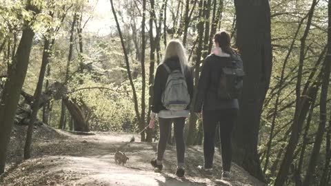 Millennial girlfriends walk little dog on forest path