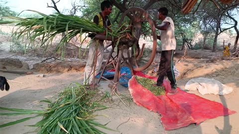 Morning Daily Routine Village Life in Uttar Pradesh Rural Life in india ll Lifestyle Life Cooking