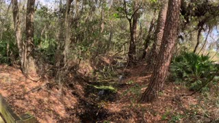 Lake Okahumpka Park, Wildwood FL