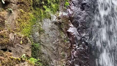 A Waterfall Surrounded by Mossy Rock Formations