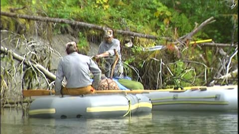 Fishing a Big Alaskan Brown Bear Out of a River!