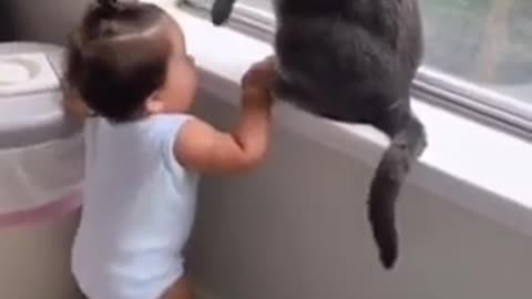 Mama Cat Takes Back Crying Kitten From Toddler