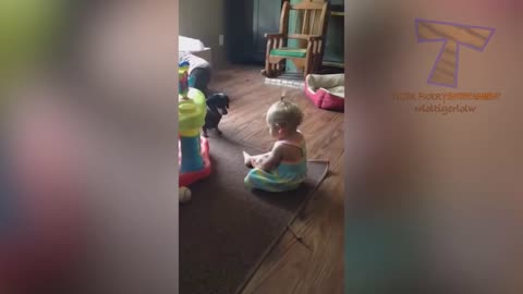 FUN CHALLENGE: laugh & laugh - Funny & cute dogs and kids