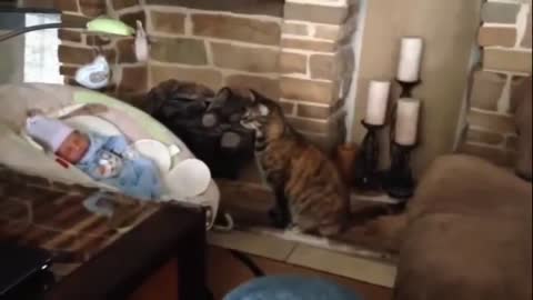 Cats Meeting Babies for the FIRST Time [NEW] Compilation