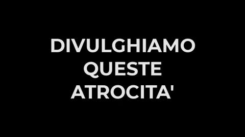 LA BESTIA UCRAINA DA DIFFONDERE AL MONDO! doppiato in italiano