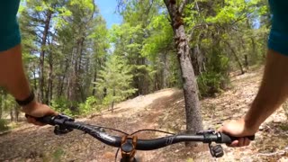 Finding even more to love in The Lost Sierra | Mountain Biking Northern California