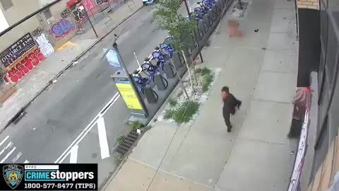 Woman Tackled and Sexually Assaulted in the Middle of the Day in NYC Street