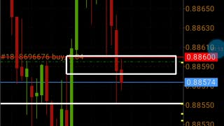 Trading forex live