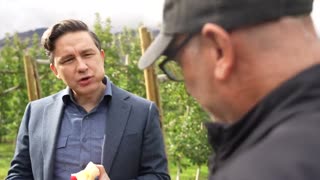 Conservative Canadian MP Takes Down Left-Wing Journalist While Casually Munching On Apple