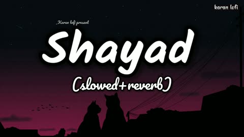 shayad - Jo tum na ho (slowed & reverb) | karan lofi #shayad #jotumnaho #lofimucis #karan lofi