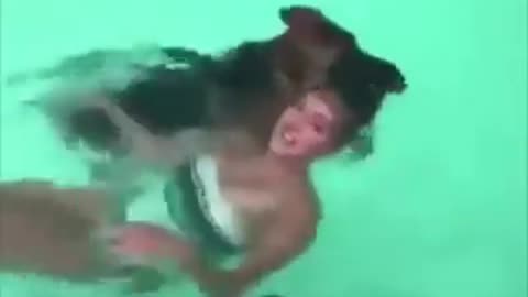 Dog "saves" girl in the swimming pool