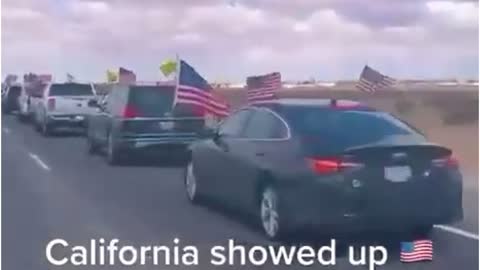캘리포니아 트럭커들의 자유를 향한 행진 영상