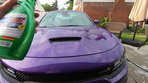 Turtle Wax Over Expensive Car Detailing