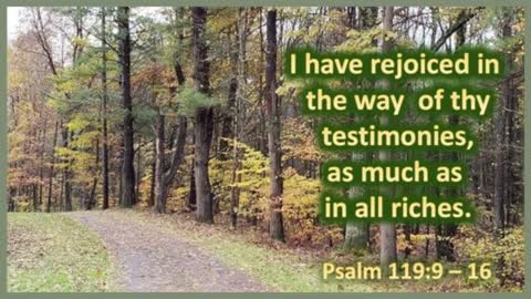 Psalm 119.9-16 'Getting By or Thriving' -- Dedicated2Jesus Daily Devotional Audio