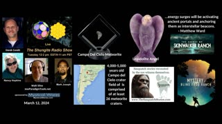 SHUNGITE REALITY 3-12-24 - from Meteors to Ancient Portals