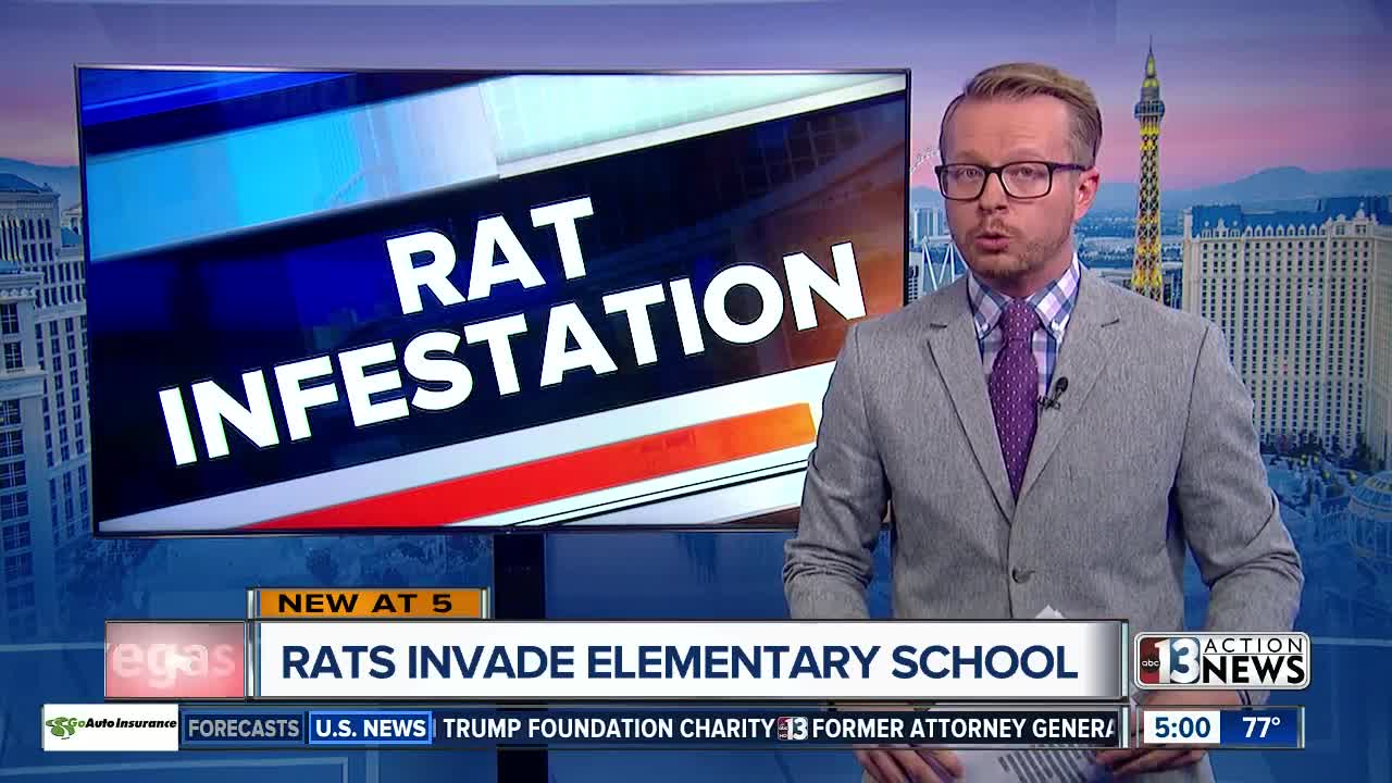 Rat problem at Las Vegas elementary school