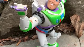 Buzz Gives the Bird