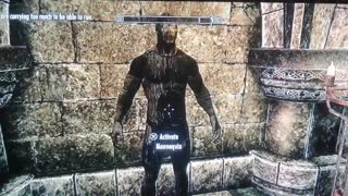 Skyrim armour duplicate