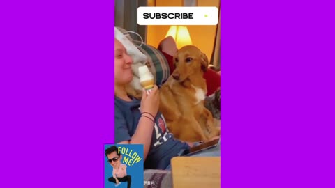 #Funny video 😊😊🐈😹🐕#viral#cute😘😘❤️