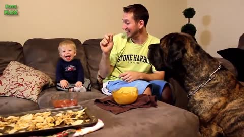 Funny Babies Laughing Hysterically at Dogs