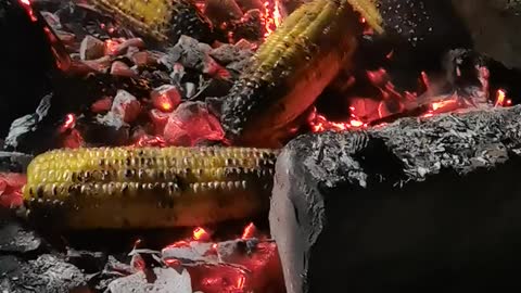 Cooking delicious corn on the fire