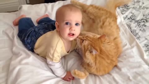 very cute babies and cats 2021