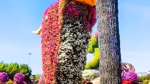 Dubai Miracle Garden records the beauty around you