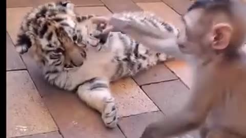 Two cute friends playing