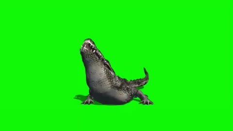 crocodile green screen