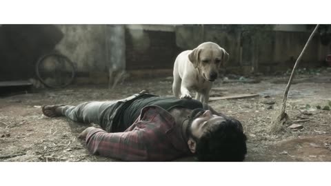 Best emotional scene of dog loving man