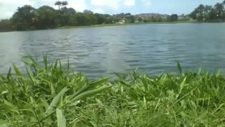 Filming the weir with waves near the grass, beautiful horizon, very pretty [Nature & Animals]