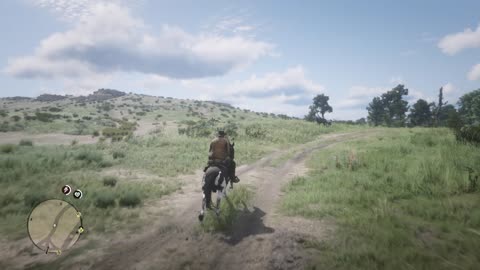RDR2 Guy gets killed by horse kick to the face