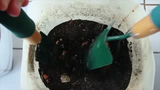 How To Make Compost From Kitchen Waste (The Easy Way)