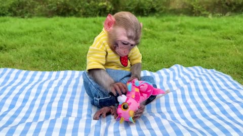 Monkey entertainment 9