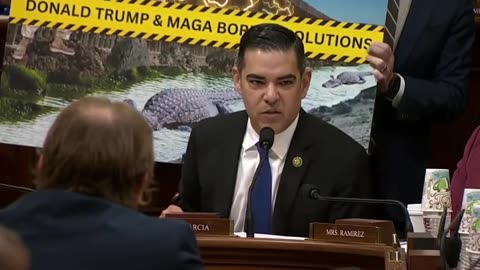 Democrat Rep. Accidentally Makes the Case for Trump..