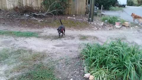 Dificulty checking mail