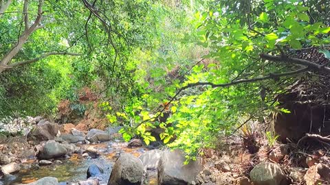 Drive to Kuthrapaanjan Falls in India