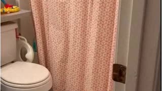 Singing in the Shower 2