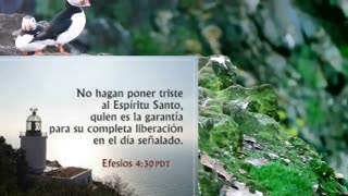 EL ESPIRITU SANTO DE DIOS SE ENTRISTECE- Devocional