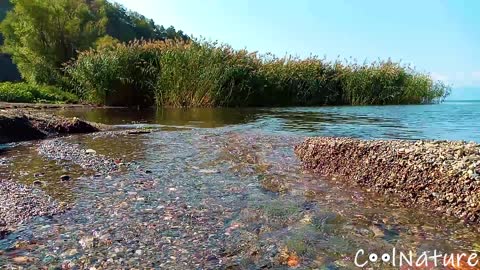 Nature Sounds - Spring feeds into a lake