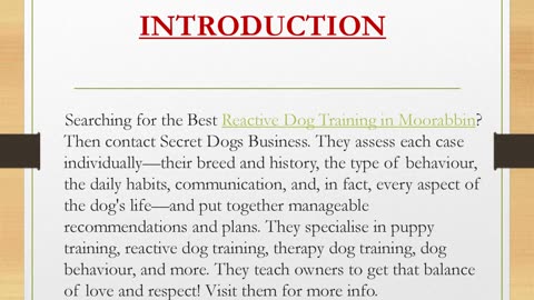 Reactive Dog Training in Moorabbin