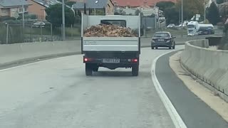 Leaves Fall From the Back of Truck