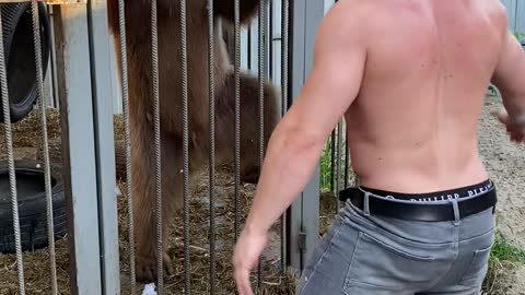 Bear Dances With His Human Friend