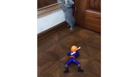 Funny cat 😽 vs Gun 🔫 - Funny Animals