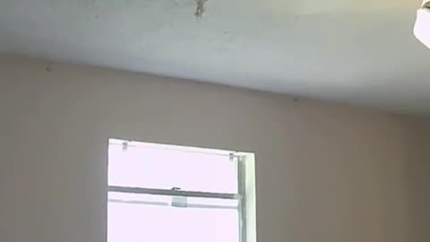 ALL you can eat POPCORN ceilings DIY