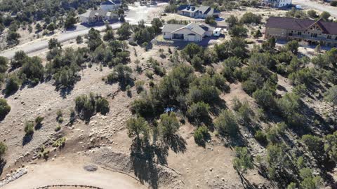 Drone catches deer herd right outside! Follows for a bit.