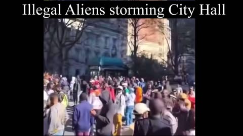 Illegals have just swarmed NYC City Hall and have surrounded it